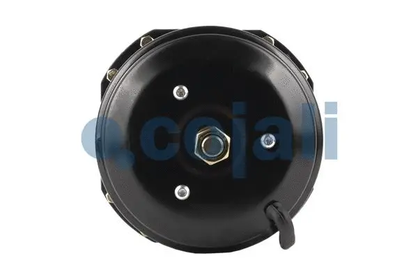 Spring-loaded Cylinder