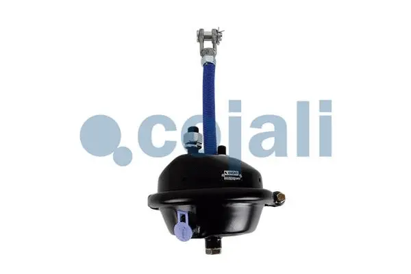 Diaphragm Brake Cylinder (2251117)