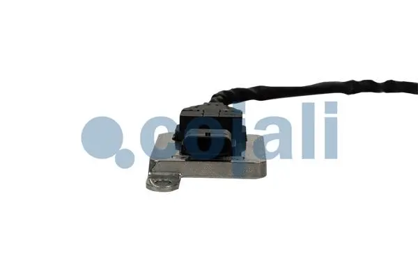 Exhaust Gas Analyzer