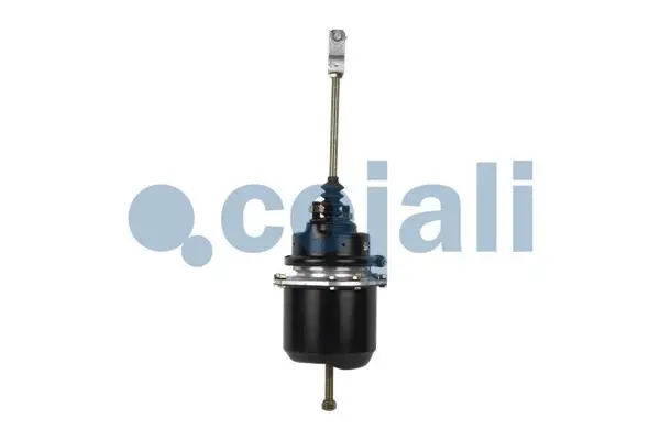 Spring-loaded Cylinder