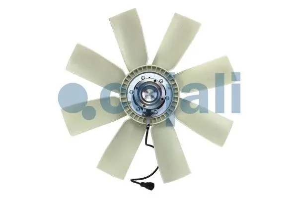Fan, engine cooling