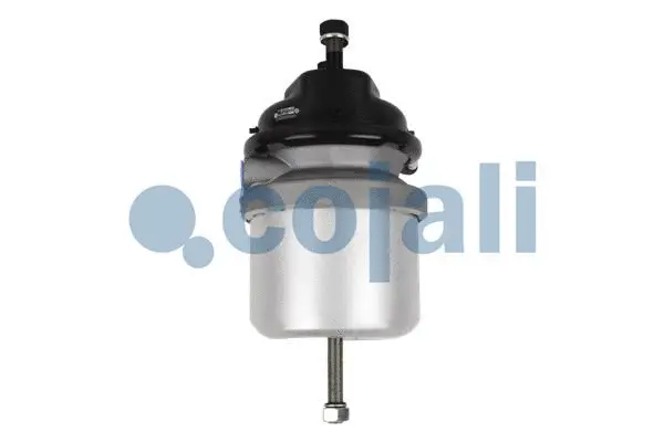 Spring-loaded Cylinder