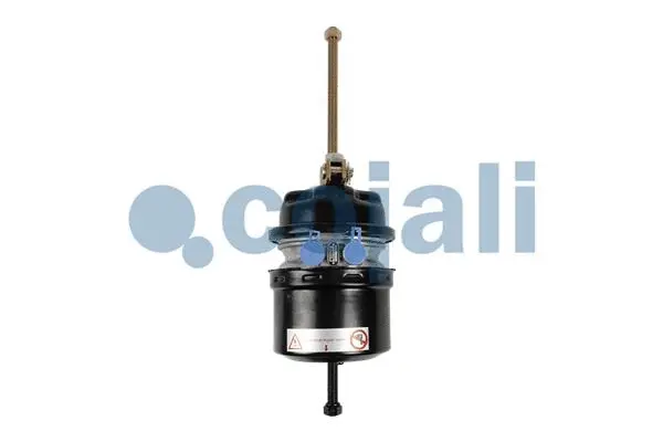Spring-loaded Cylinder (2251606)