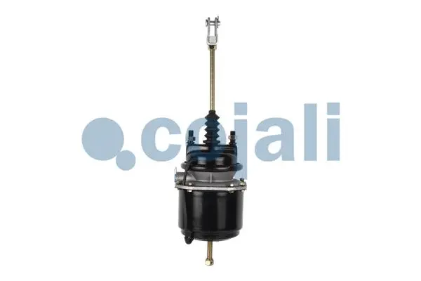 Spring-loaded Cylinder