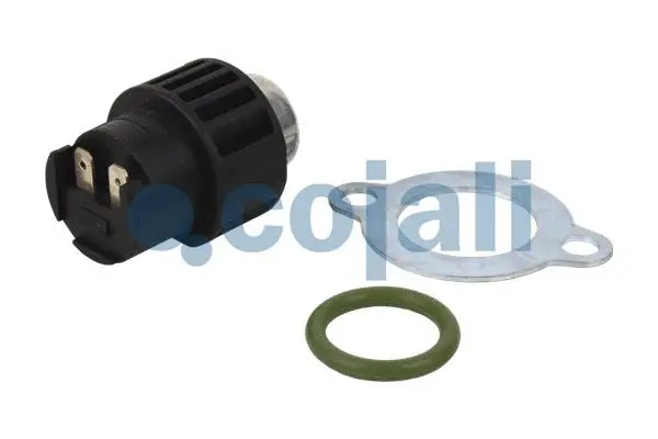 Sensor, crankshaft pulse