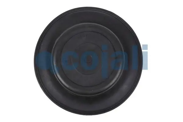 Membrane, spring-loaded cylinder