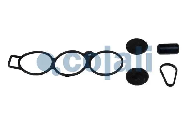 Repair Kit, air spring valve