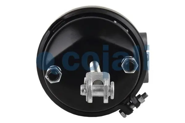 Spring-loaded Cylinder