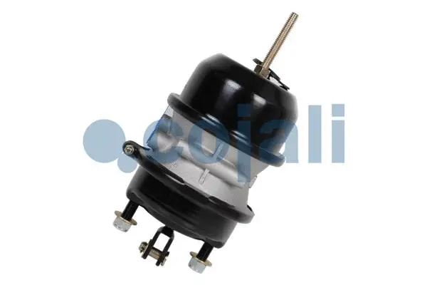 Multi-function Brake Cylinder (2851113)