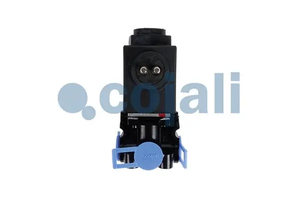 Solenoid Valve (2880294)