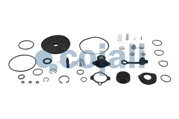 Repair Kit, brake force regulator (6012030)
