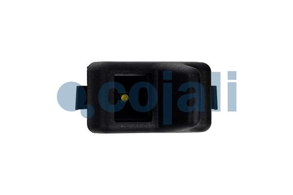 Switch, window regulator