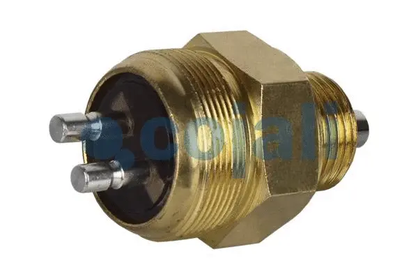 Control Switch (2260350)