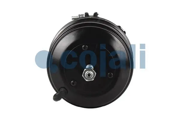 Spring-loaded Cylinder