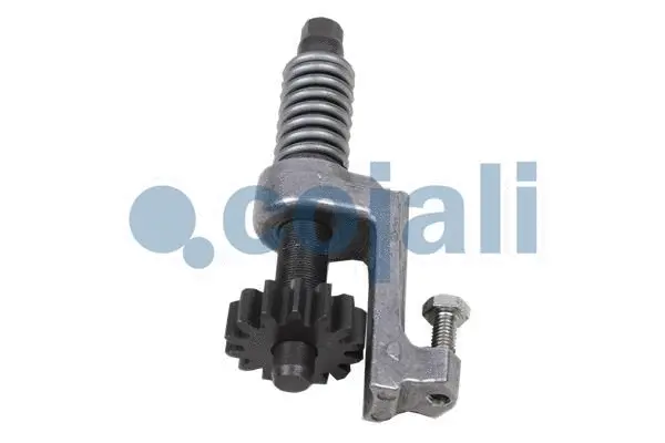 Repair Kit, brake caliper (6086509)