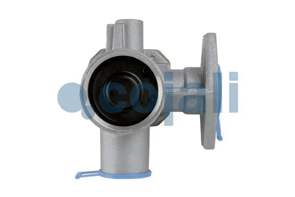 Pressure Limiting Valve