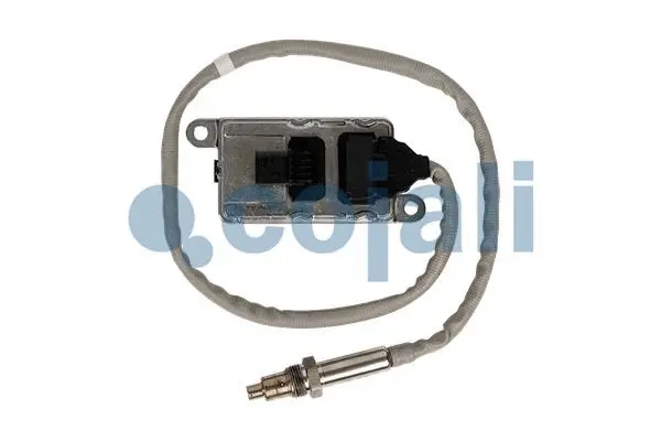 Exhaust Gas Analyzer (2269088)