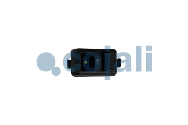 Switch, window regulator