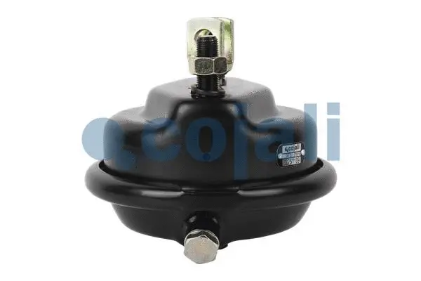 Diaphragm Brake Cylinder