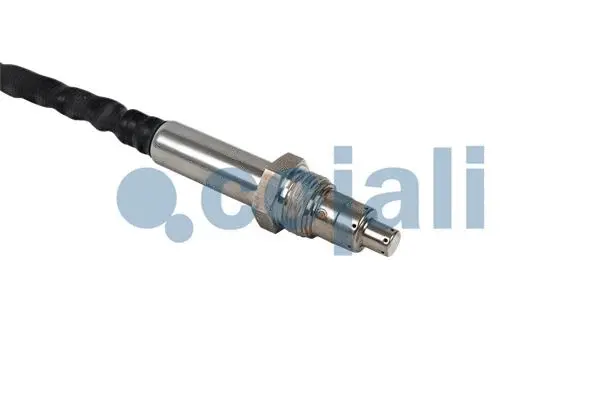 Exhaust Gas Analyzer