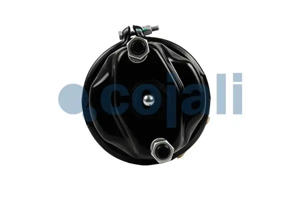 Spring-loaded Cylinder