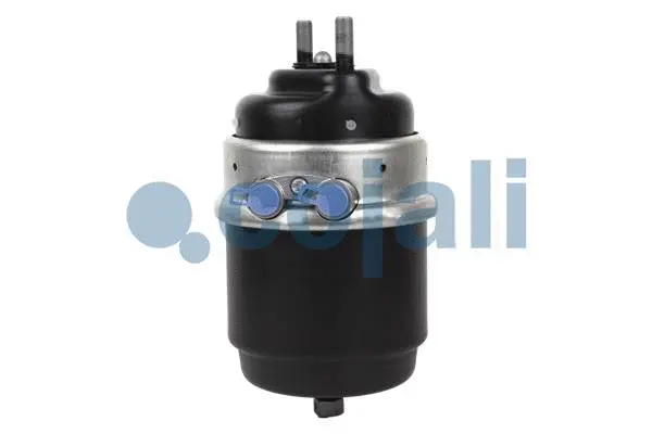 Spring-loaded Cylinder (2351321)