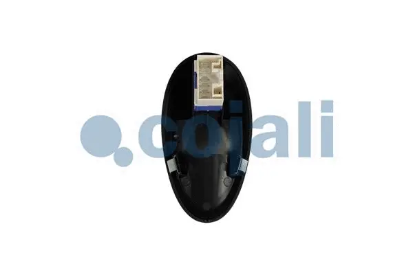 Switch, window regulator