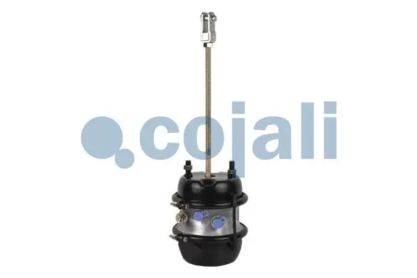 Multi-function Brake Cylinder (2251427)