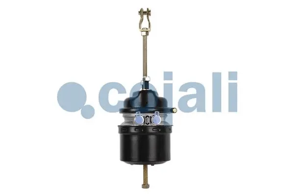 Spring-loaded Cylinder (2251506)