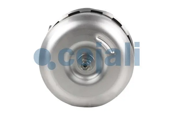 Spring-loaded Cylinder