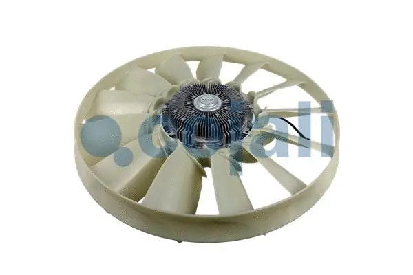 Fan, engine cooling