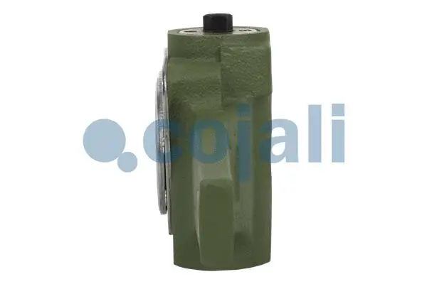 Adjuster, braking system