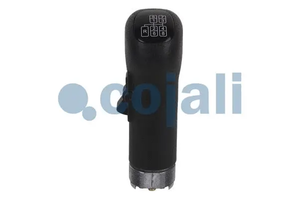 Gear Shift Lever Knob