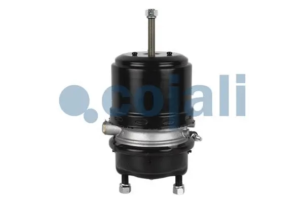 Spring-loaded Cylinder