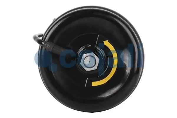 Spring-loaded Cylinder