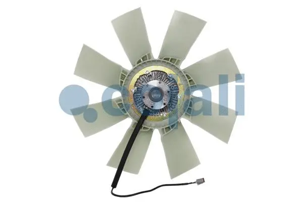 Fan, engine cooling