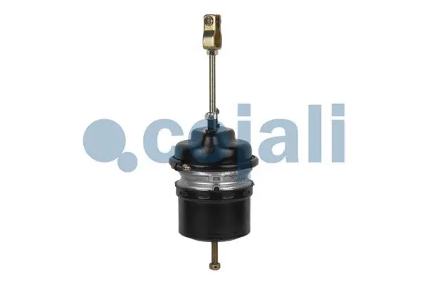 Spring-loaded Cylinder