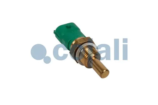 Sensor, coolant temperature