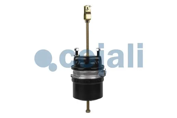 Spring-loaded Cylinder