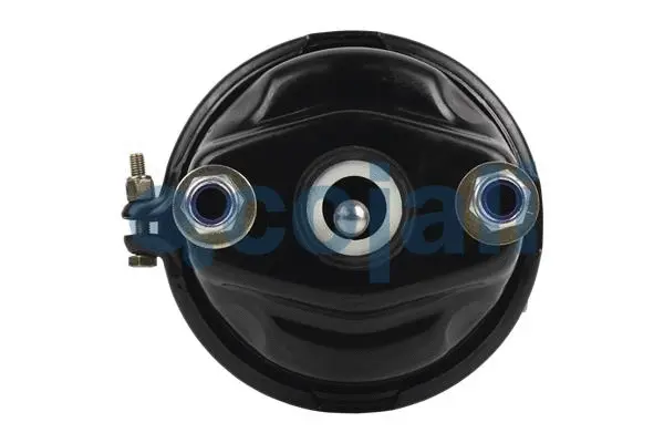 Spring-loaded Cylinder