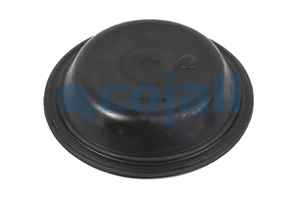 Membrane, spring-loaded cylinder