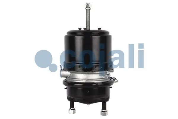 Spring-loaded Cylinder