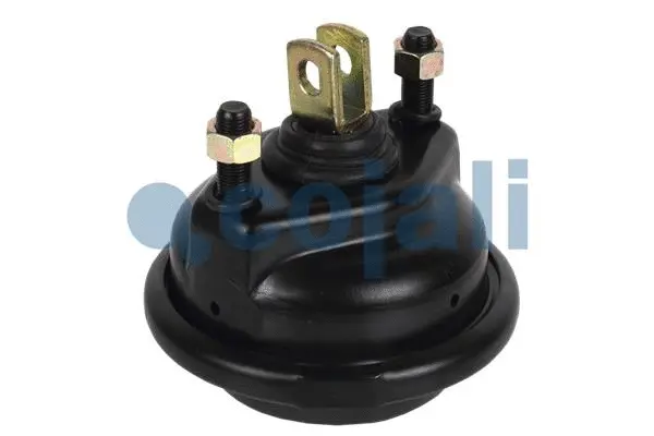 Diaphragm Brake Cylinder