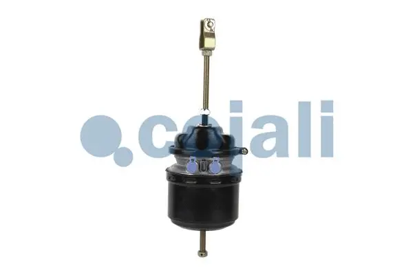 Spring-loaded Cylinder (2251550)