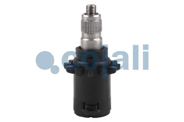 Repair Kit, brake caliper (6086034)