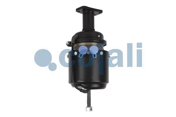 Spring-loaded Cylinder (2351402)