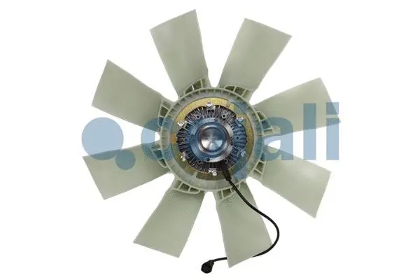 Fan, engine cooling