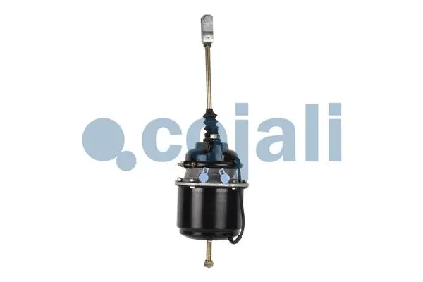 Spring-loaded Cylinder (2251401)