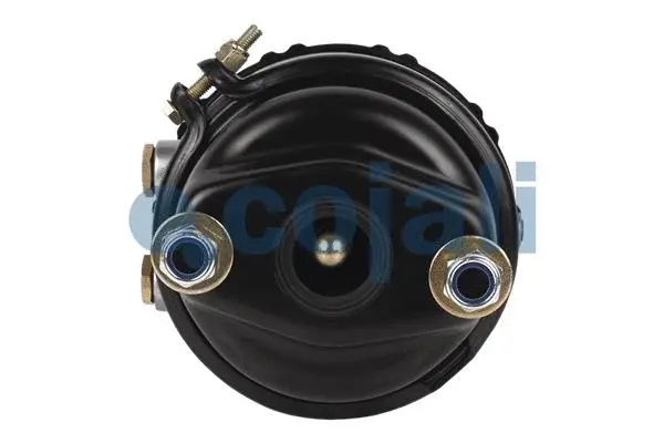 Spring-loaded Cylinder