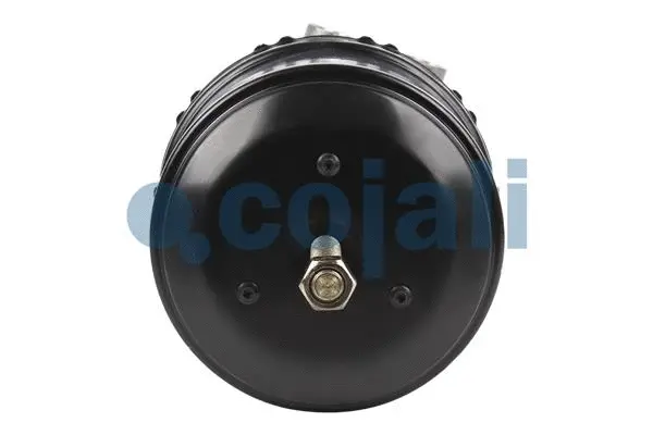 Spring-loaded Cylinder